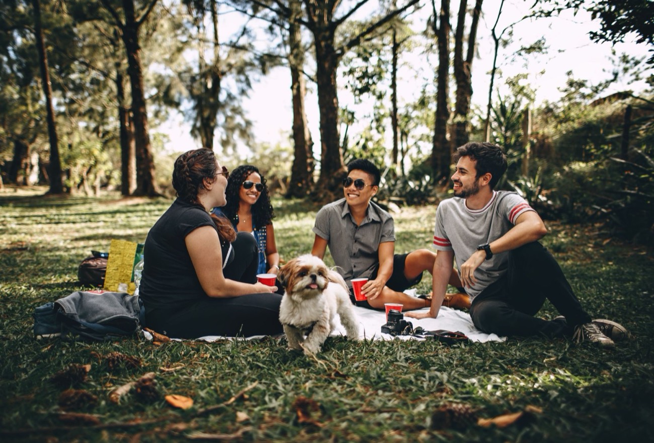 Equipo de trabajo sentado en el pasto de un parque, conversando junto a un perro